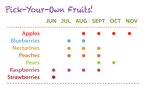 Pick-Your-Own-Chart