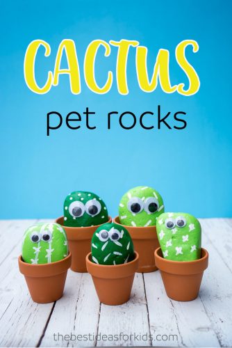 Cactus Pet Rocks craft