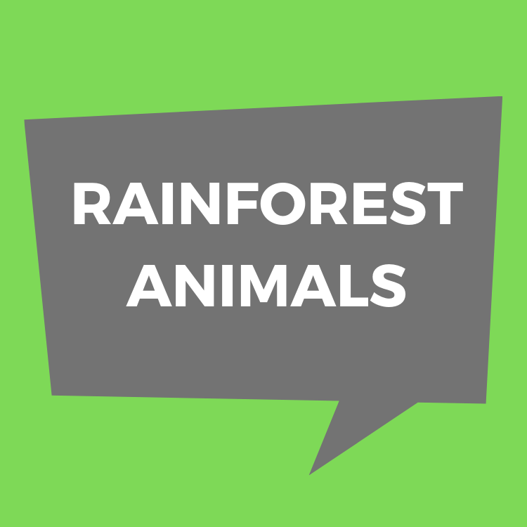 rainforest animals at Roger Williams Park Zoo