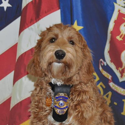 Cali, Cranston Police Department Therapy Dog Special Storytime @ Barrington Books Garden City
